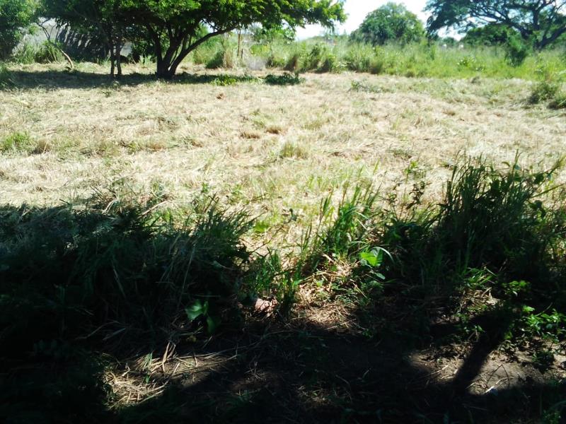 Terreno en venta en Mata de Pita, Veracruz — foto 1 de 3