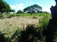 Terreno en venta en Mata de Pita, Veracruz — foto 2 de 3