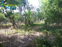 Terreno en venta en Juana Moza, Tuxpan — foto 2 de 8