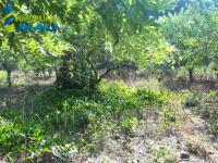 Terreno en venta en Juana Moza, Tuxpan — foto 3 de 8