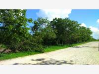 Terreno en venta en Izamal Centro, Izamal — foto 2 de 10