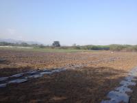 Finca-Rancho en venta en La Primavera, Cintalapa de Figueroa — foto 2 de 8