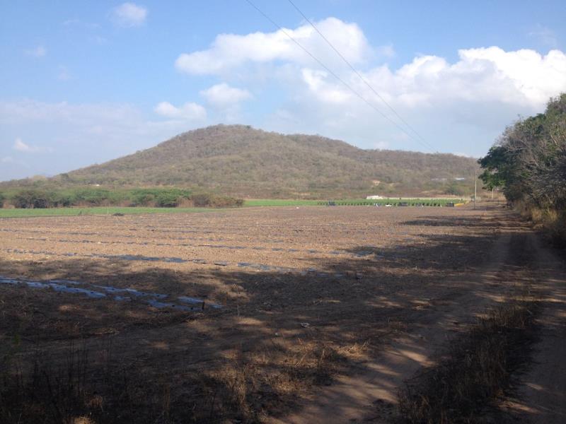 Finca-Rancho en venta en La Primavera, Cintalapa de Figueroa — foto 1 de 8