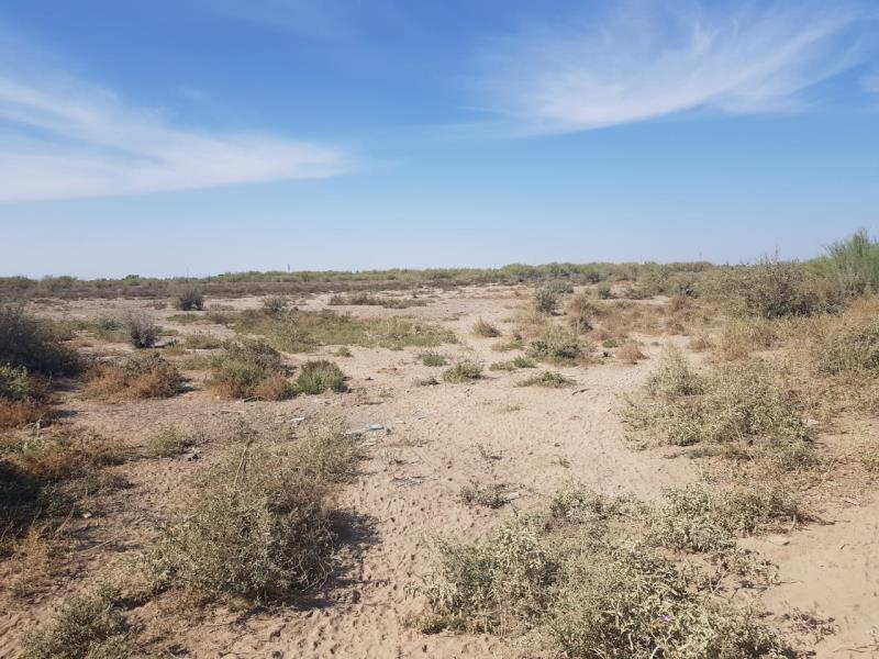 Terreno en Venta en San Miguel