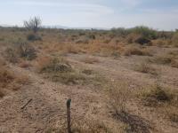Terreno en venta en Ejido San Miguel, Matamoros — foto 2 de 7