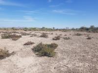 Terreno en venta en Ejido San Miguel, Matamoros — foto 3 de 7