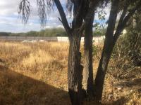 Terreno en venta en El Sauz, Tequisquiapan — foto 2 de 8