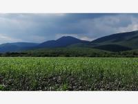Terreno en venta en Chichimequillas, El Marqués — foto 3 de 9