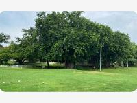 Terreno en venta en Club de Golf Villa Rica, Alvarado — foto 2 de 3