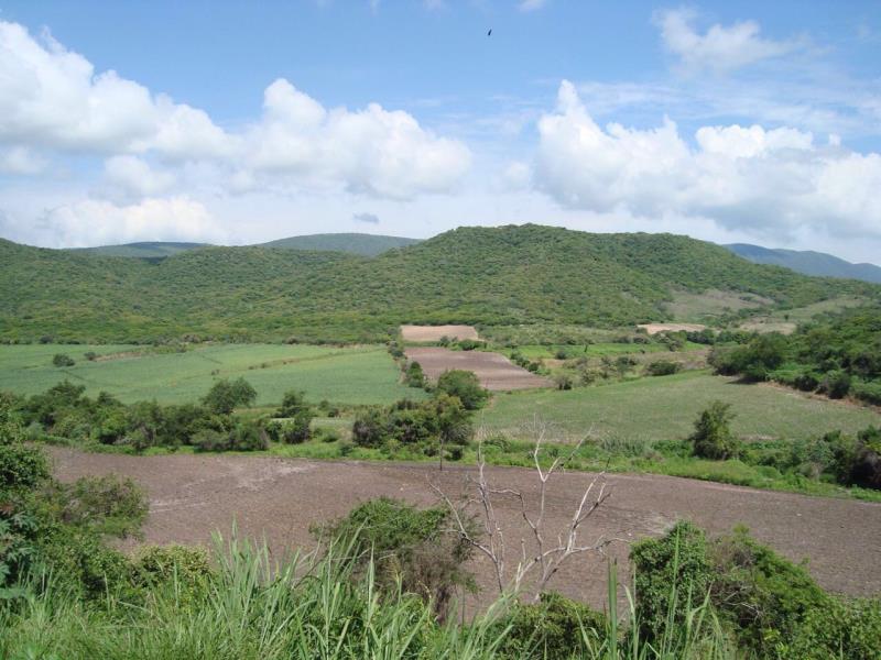 Quinta en venta en Santa Rosa Treinta, Tlaltizapán de Zapata — foto 1 de 11