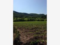 Finca-Rancho en venta en Ampliación El Mirador (Ampliación Bomba), Tlaltizapán de Zapata — foto 2 de 11