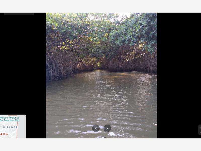 Finca-Rancho en venta en Tampico Alto, Tampico Alto, Veracruz