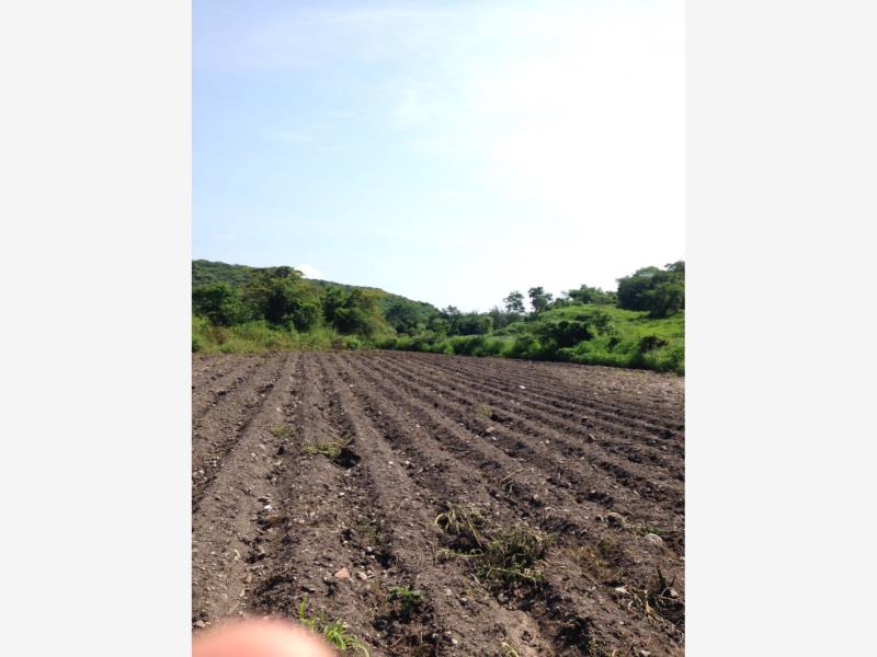 Terreno en venta en Santa Rosa Treinta, Tlaltizapán de Zapata — foto 1 de 7