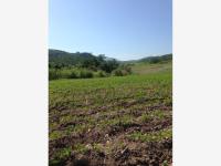 Terreno en venta en Santa Rosa Treinta, Tlaltizapán de Zapata — foto 2 de 10