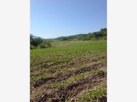 Terreno en venta en Santa Rosa Treinta, Tlaltizapán de Zapata — foto 3 de 10
