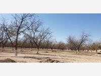 Terreno en venta en La Barranca, Torreón — foto 3 de 6