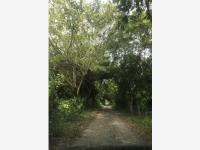 Terreno en venta en San José Novillero, Boca del Río — foto 2 de 2