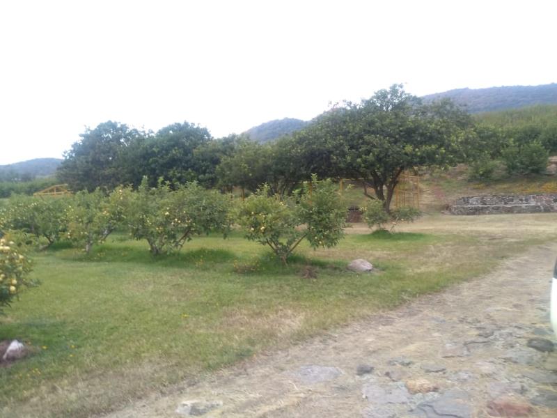 Terreno en venta en Zumpahuacan, Zumpahuacán — foto 1 de 13