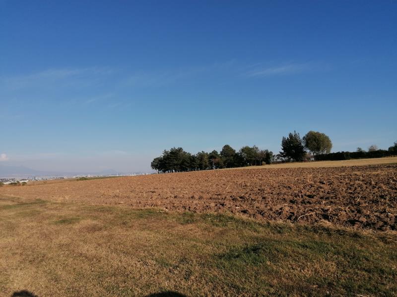 Terreno en venta en Chipilo de Francisco Javier Mina, San Gregorio Atzompa — foto 1 de 6