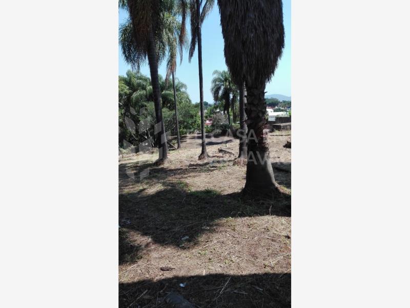 Terreno en renta en Cuernavaca Centro, Cuernavaca — foto 1 de 11