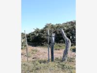 Terreno en venta en Paso Nacional, Alvarado — foto 3 de 9