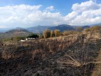 Terreno en venta en Amatlán de Quetzalcóatl, Tepoztlán — foto 2 de 21