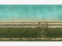 Terreno en venta en Sisal, Hunucmá — foto 3 de 7