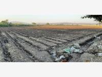 Terreno en venta en Tequesquitengo, Jojutla — foto 2 de 19