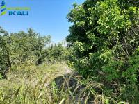 Terreno en venta en Salvador Allende, Poza Rica de Hidalgo — foto 3 de 6