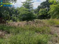 Terreno en venta en Plan de Ayala, Tihuatlán — foto 3 de 7