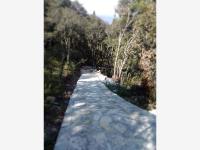 Terreno en venta en Pueblo Nuevo, Mineral del Monte — foto 2 de 14