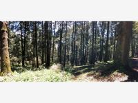 Terreno en venta en Pueblo Nuevo, Mineral del Monte — foto 2 de 20