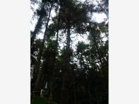Terreno en venta en Pueblo Nuevo, Mineral del Monte — foto 3 de 6