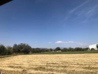 Terreno en venta en Amazcala, El Marqués — foto 2 de 5