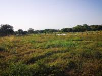 Terreno en venta en El Trapiche, Cuauhtémoc — foto 2 de 7