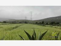Finca-Rancho en venta en Las Cruces, Singuilucan — foto 3 de 30
