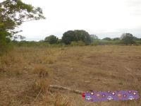 Terreno en venta en Medellín, Medellín de Bravo — foto 3 de 5