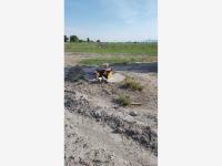 Terreno en venta en Los Rodriguez, San Miguel de Allende — foto 2 de 6