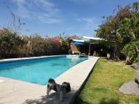 Finca-Rancho en venta en Chiconcuac, Xochitepec — foto 3 de 48