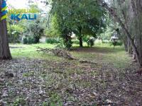 Terreno en venta en Santa Cecilia, Papantla — foto 2 de 18