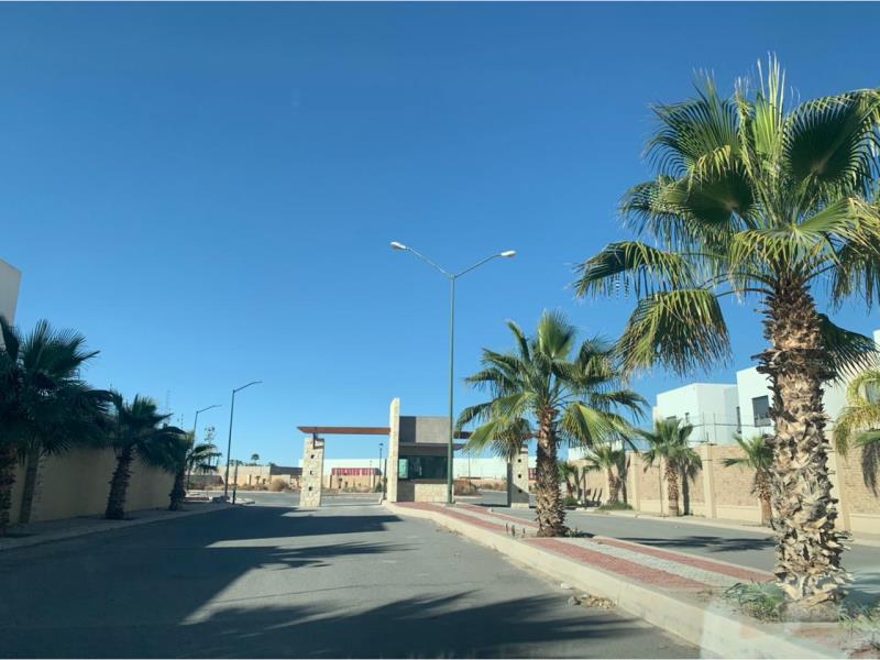 Terreno en Venta en Los Viñedos, Torreón, Coahuila de Zaragoza