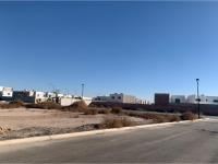 Terreno en venta en Los Viñedos, Torreón — foto 3 de 8
