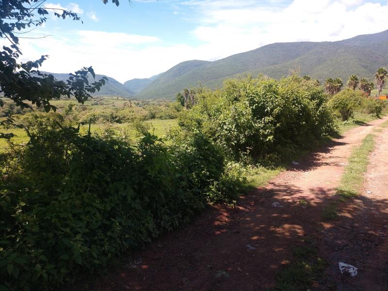 Terreno en venta en Jalmolonga (La Hacienda), Malinalco — foto 1 de 6