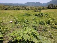Terreno en venta en Jalmolonga (La Hacienda), Malinalco — foto 3 de 6