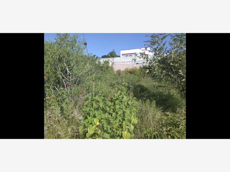 Terreno en venta en Ahuatepec, Cuernavaca — foto 1 de 3