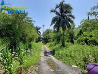 Terreno en venta en La Calzada, Tuxpan — foto 3 de 6