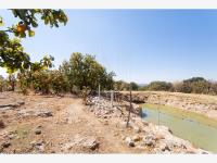 Terreno en venta en Canoas, Lagos de Moreno — foto 3 de 20