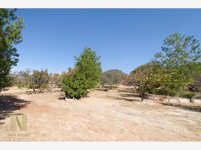 Terreno en venta en Canoas, Lagos de Moreno — foto 1 de 7