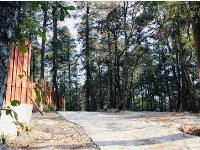 Terreno en venta en Pueblo Nuevo, Mineral del Monte — foto 2 de 12