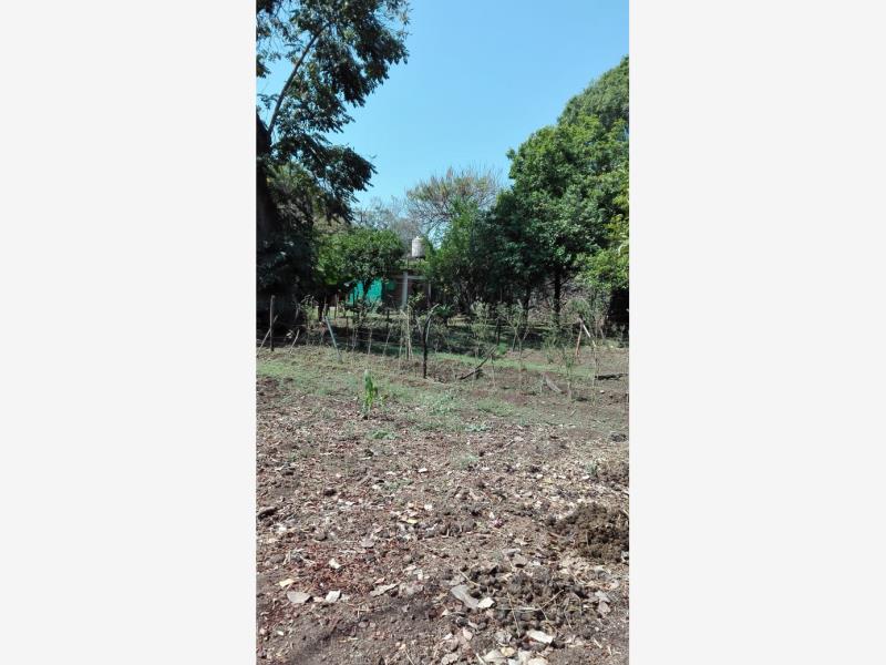 Terreno en venta en Reforma, Cuernavaca — foto 1 de 3